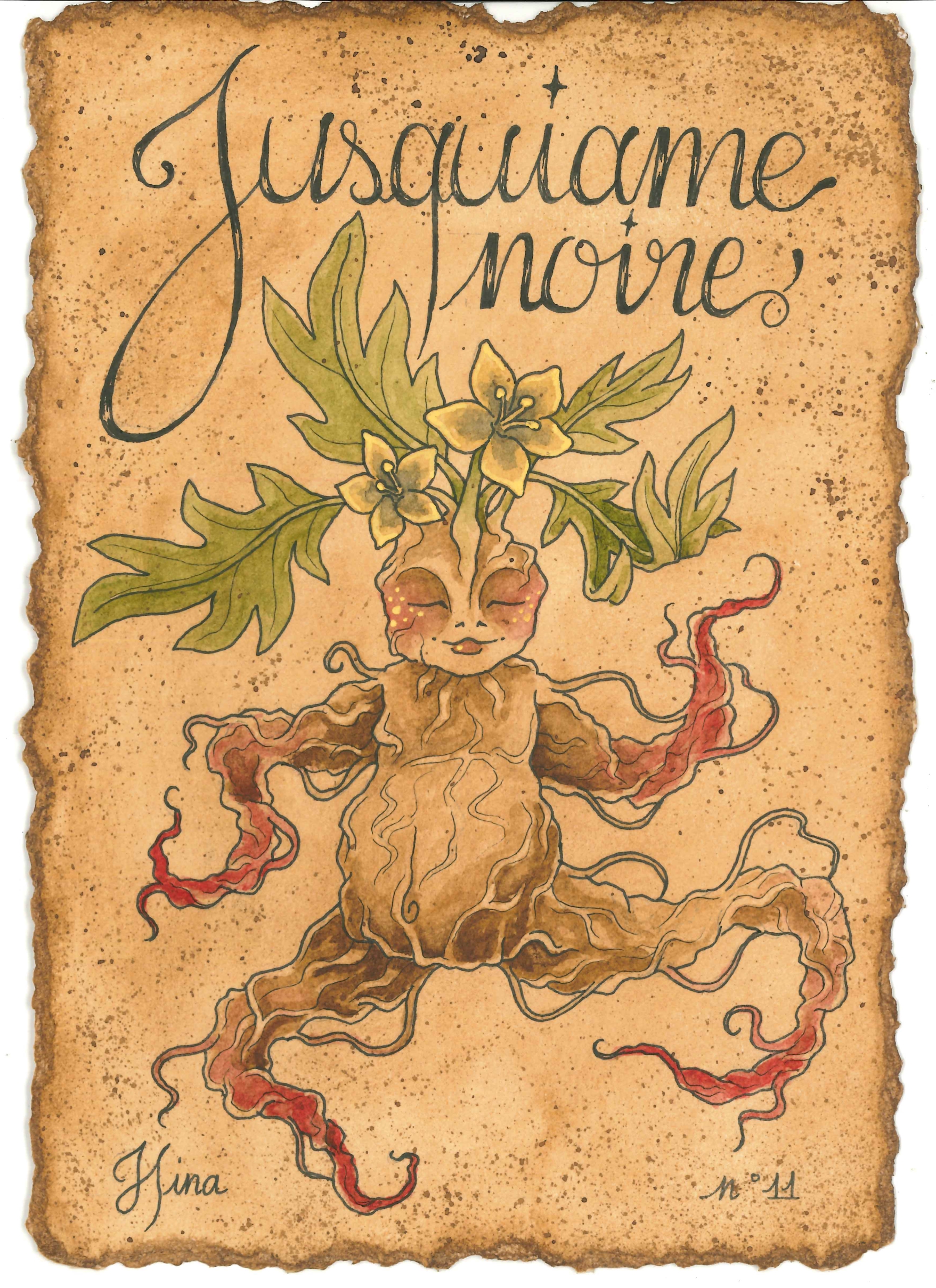 Jusquiame Noire n°11 Print – Image 3