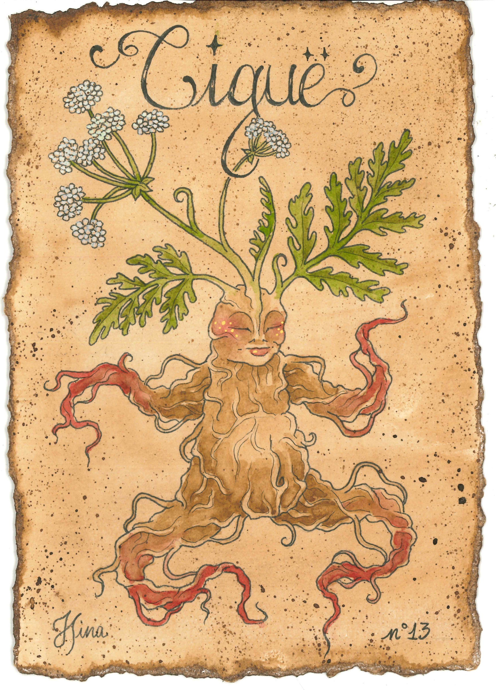 Ciguë n°13 Print – Image 3