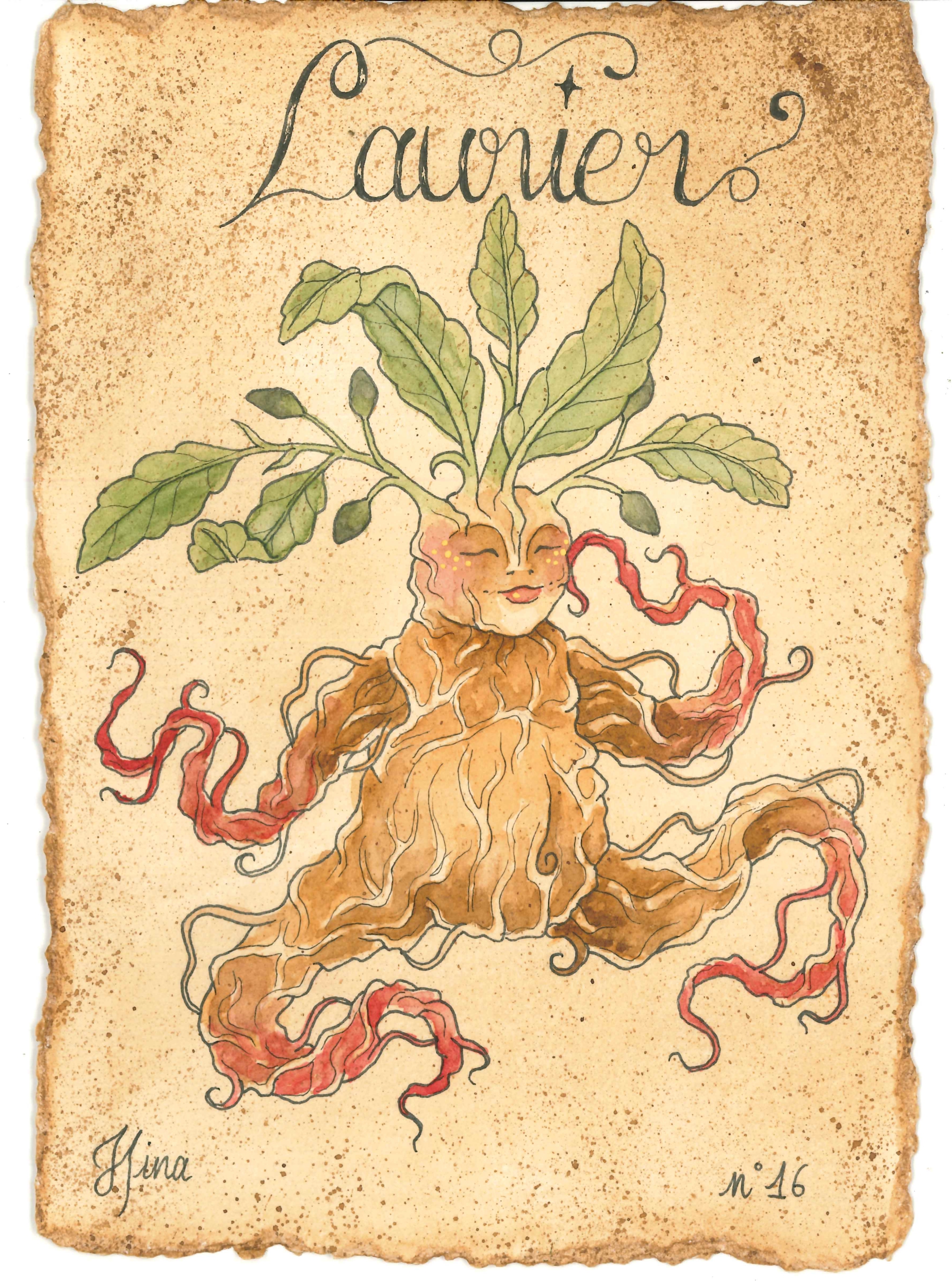 Laurier n°16 Print – Image 3