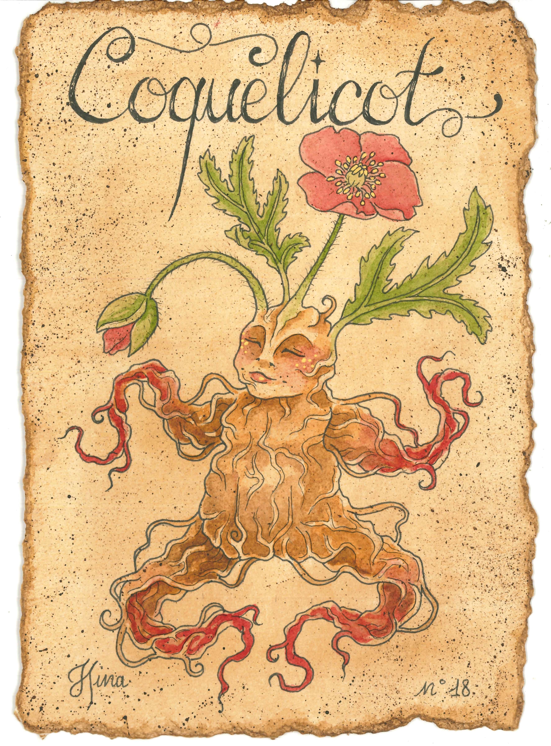 Coquelicot n°18 Print – Image 3