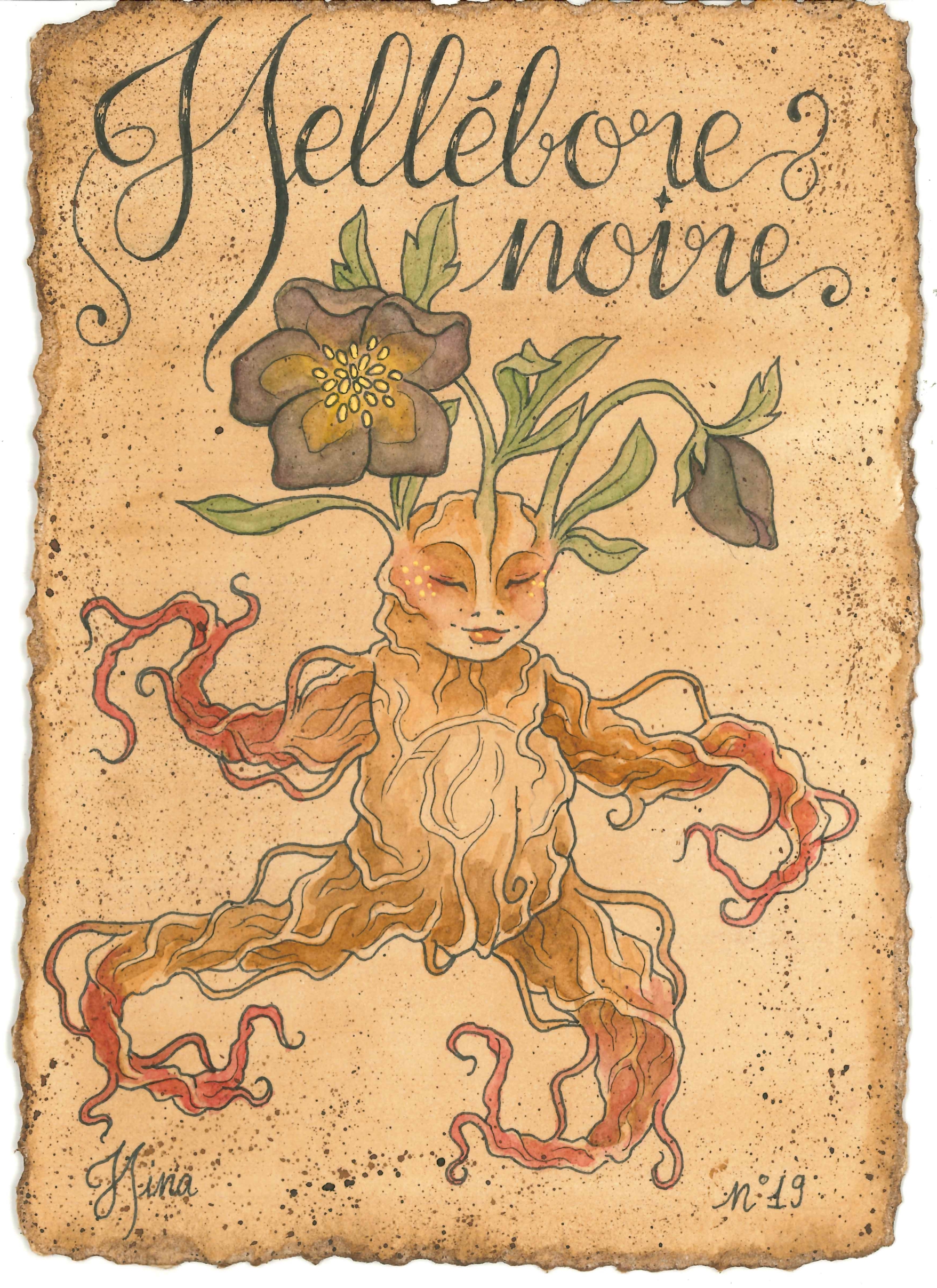 Hellebore Noire n°19 Print – Image 3