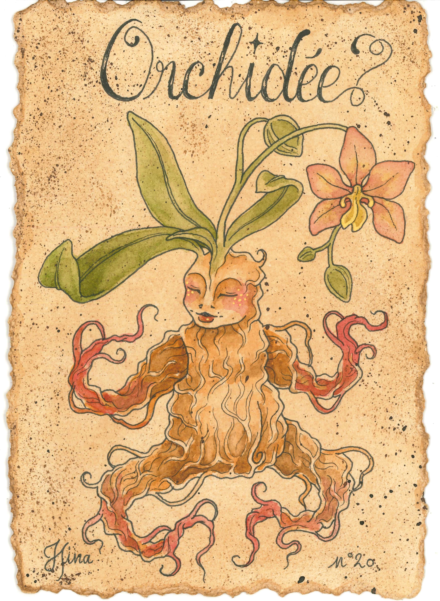 Orchidée n°20 Print – Image 3