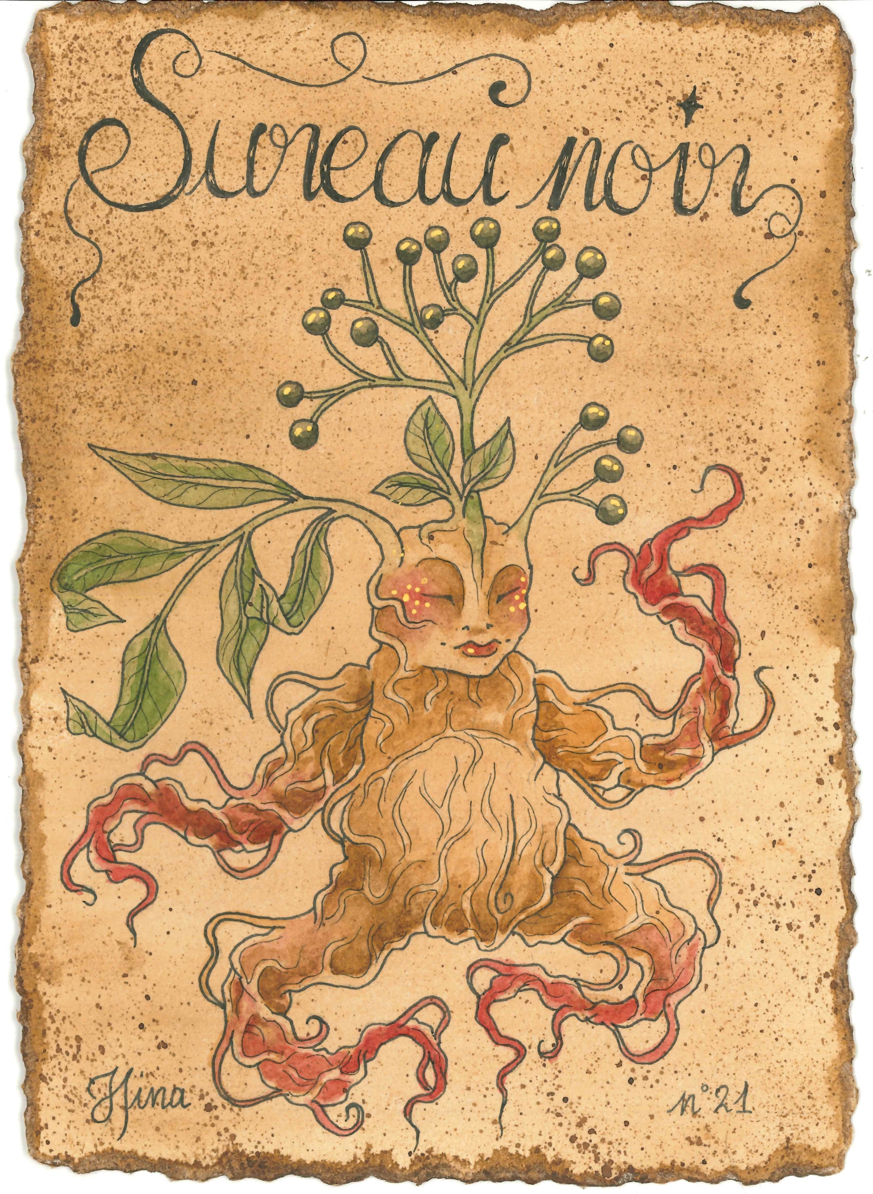 Sureau Noir n°21 Print – Image 3