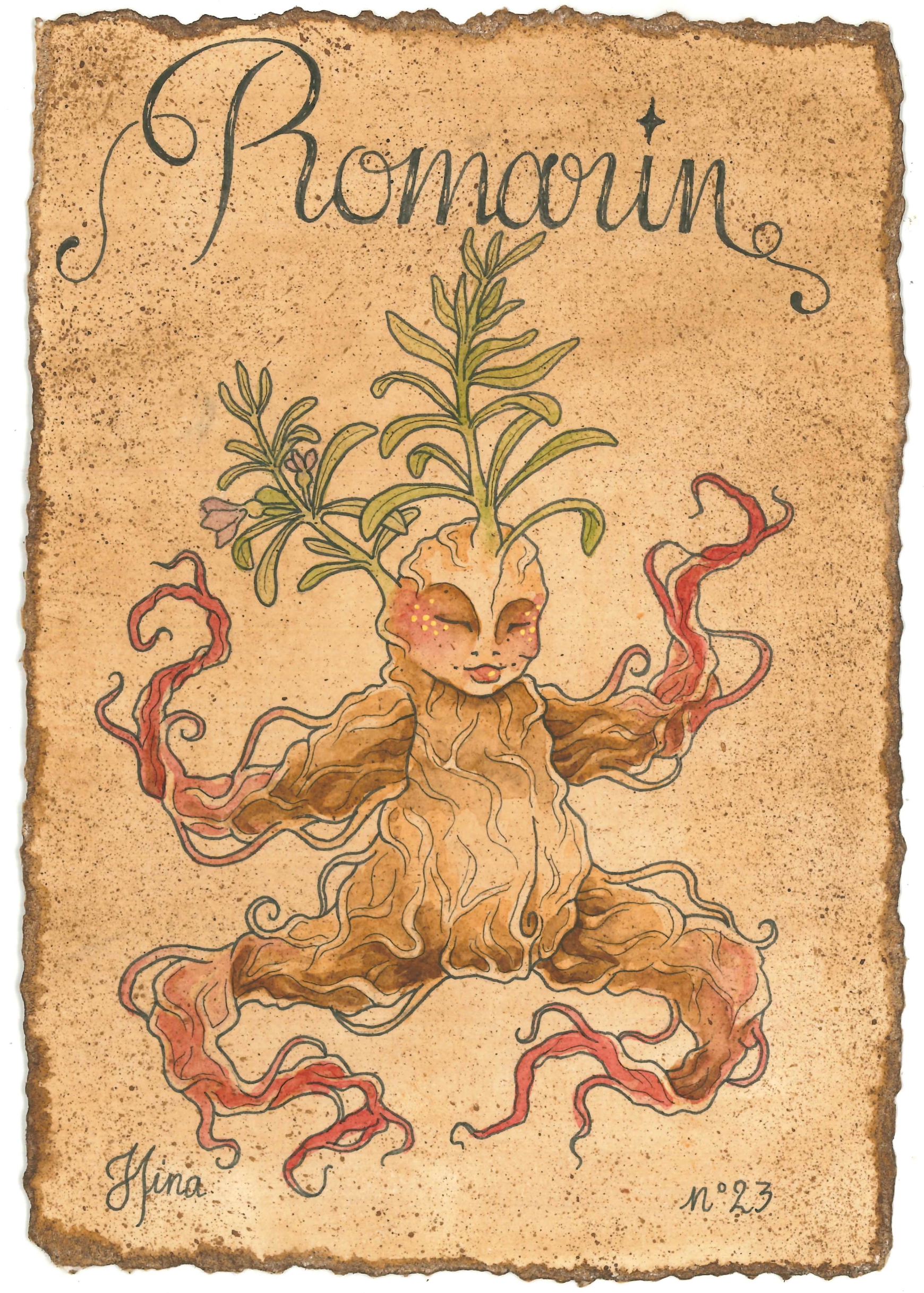 Romarin n°23 Print – Image 3