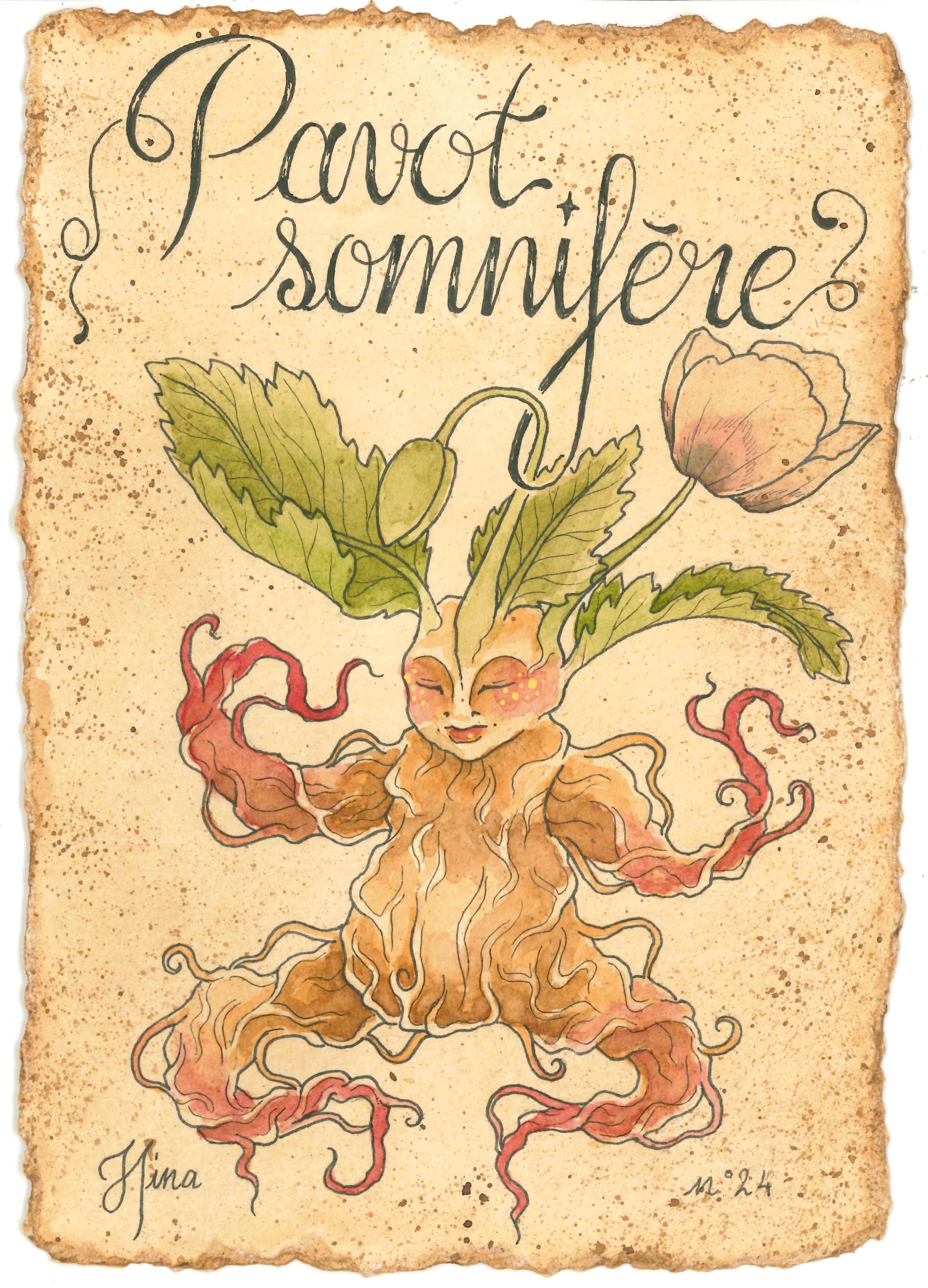 Pavot Somnifère n°24 Print – Image 3