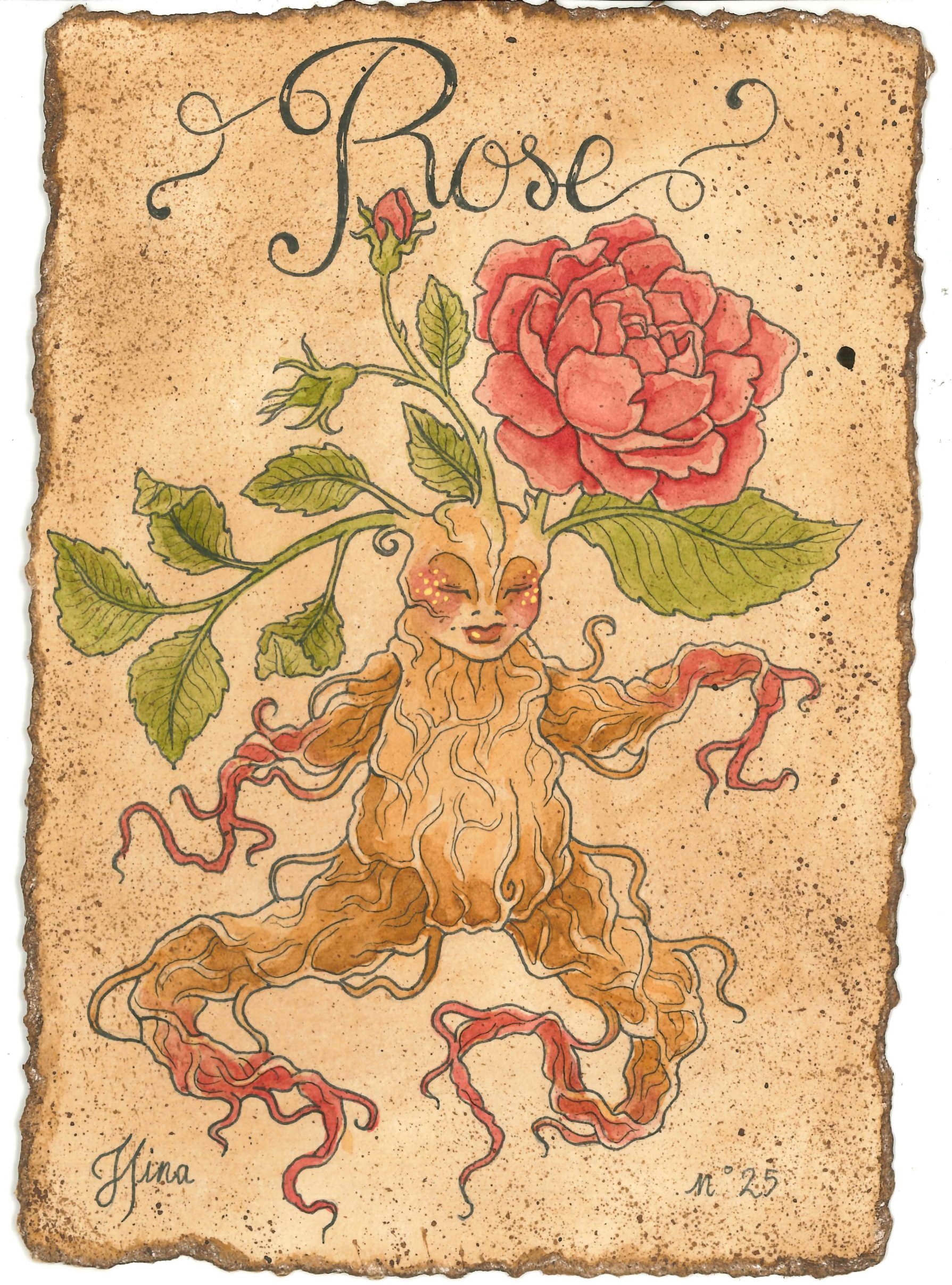 Rose n°25 Print – Image 3