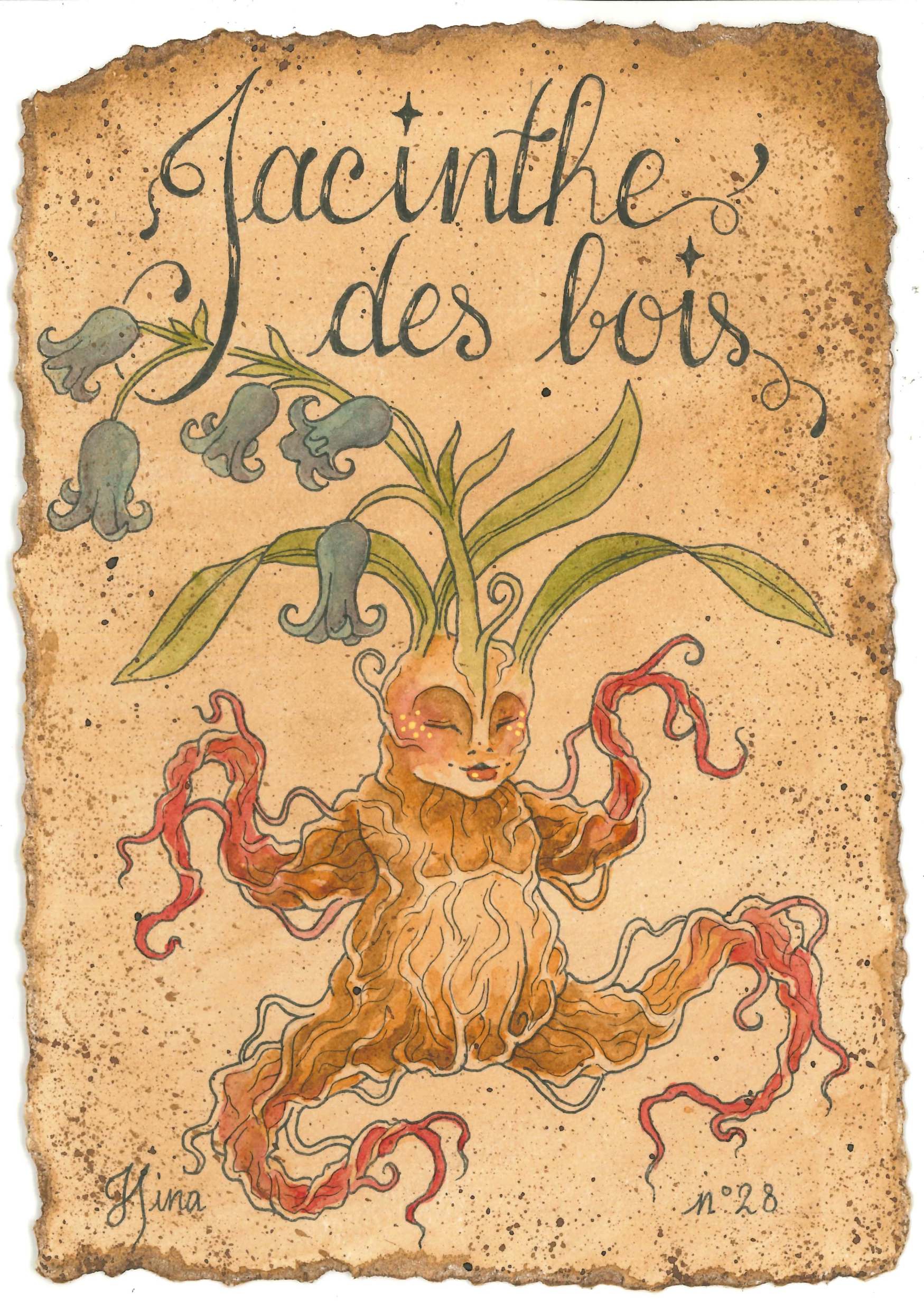 Jacinthe des bois n°28 Print – Image 3