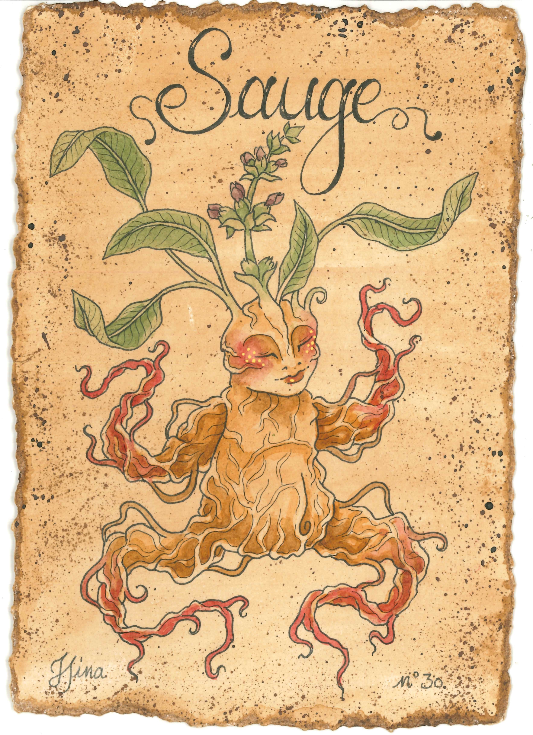 Sauge n°30 Print – Image 3