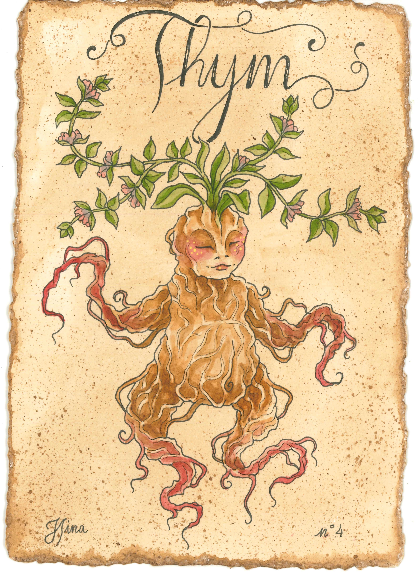 Thym n°4 Print – Image 3