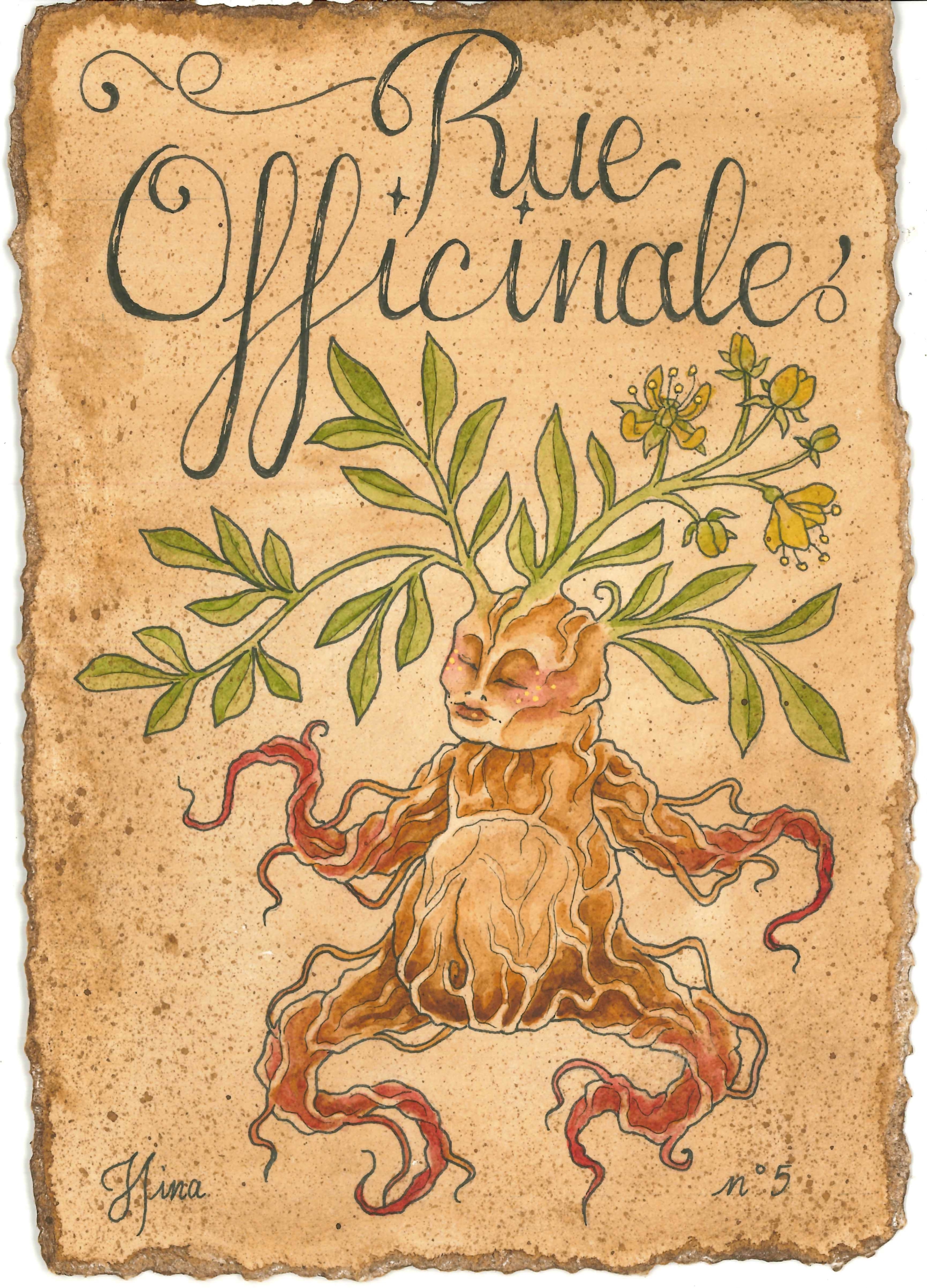 Rue Officinale n°5 Print – Image 3