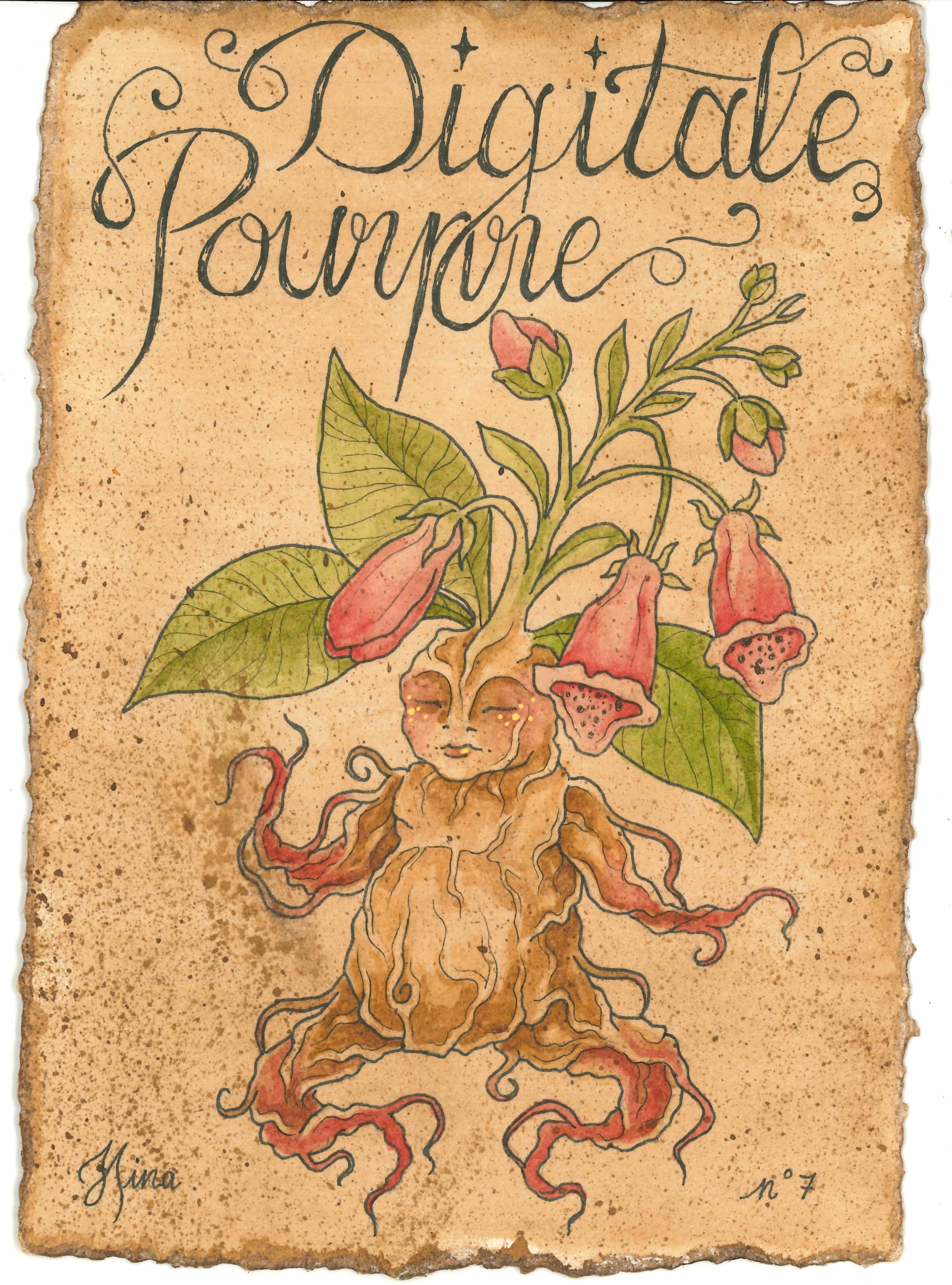 Digitale Pourpre n°7 Print – Image 3