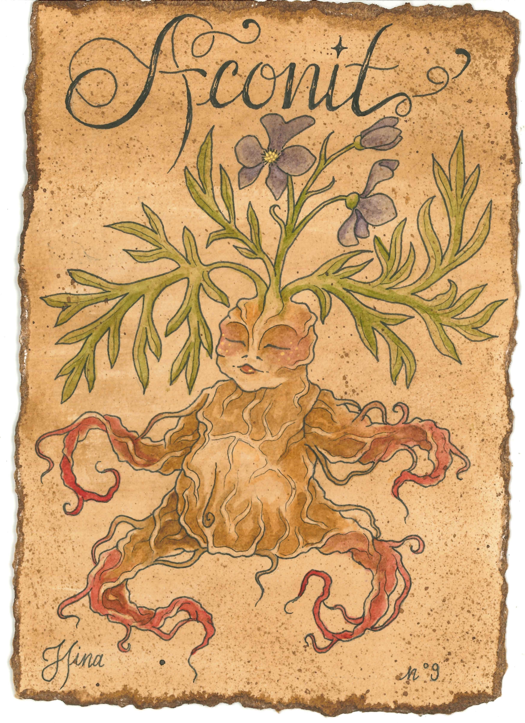 Aconit n°9 Print – Image 3