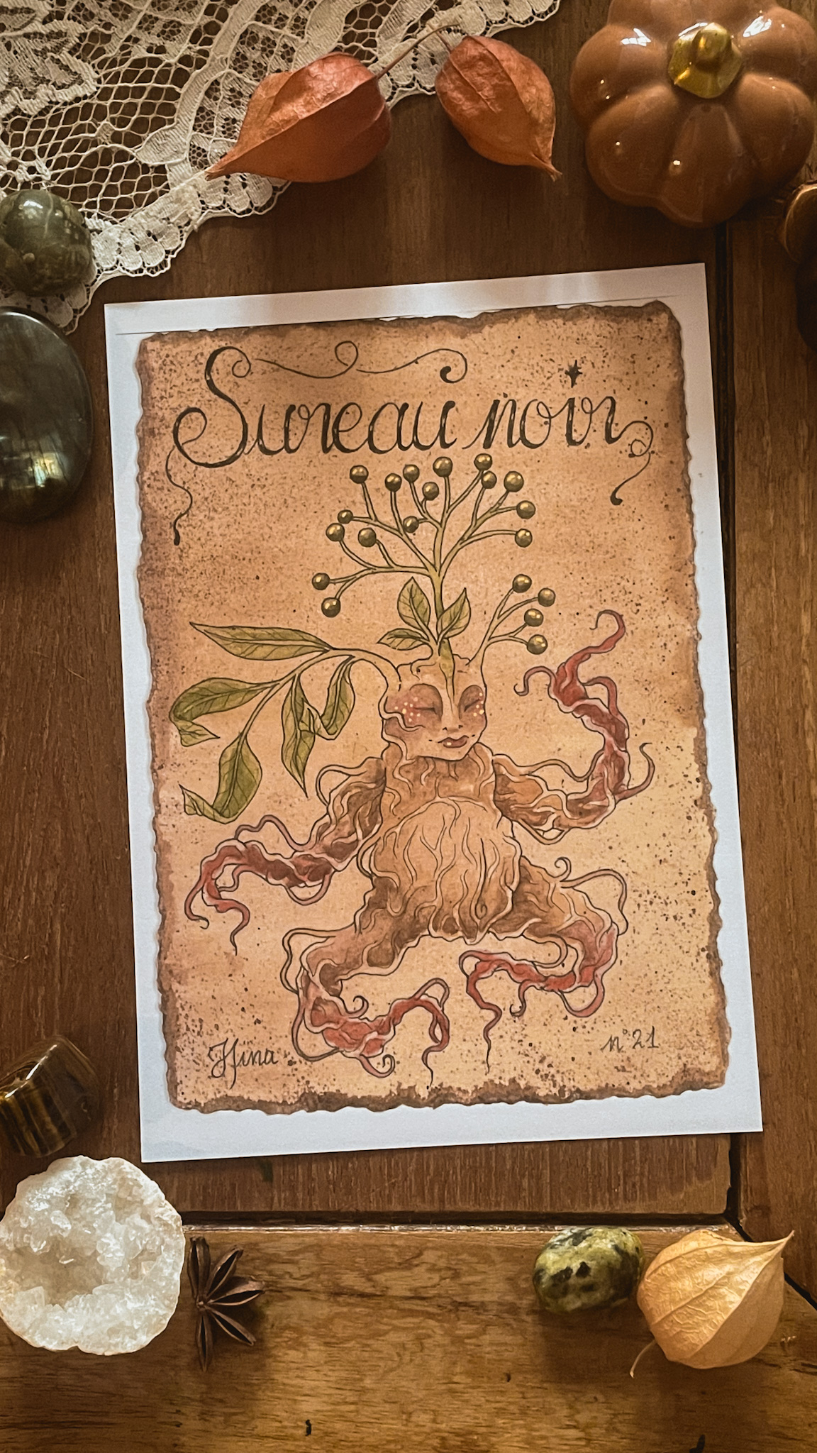 Sureau Noir n°21 Print