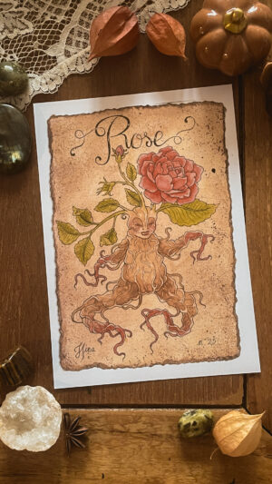 Rose n°25 Print
