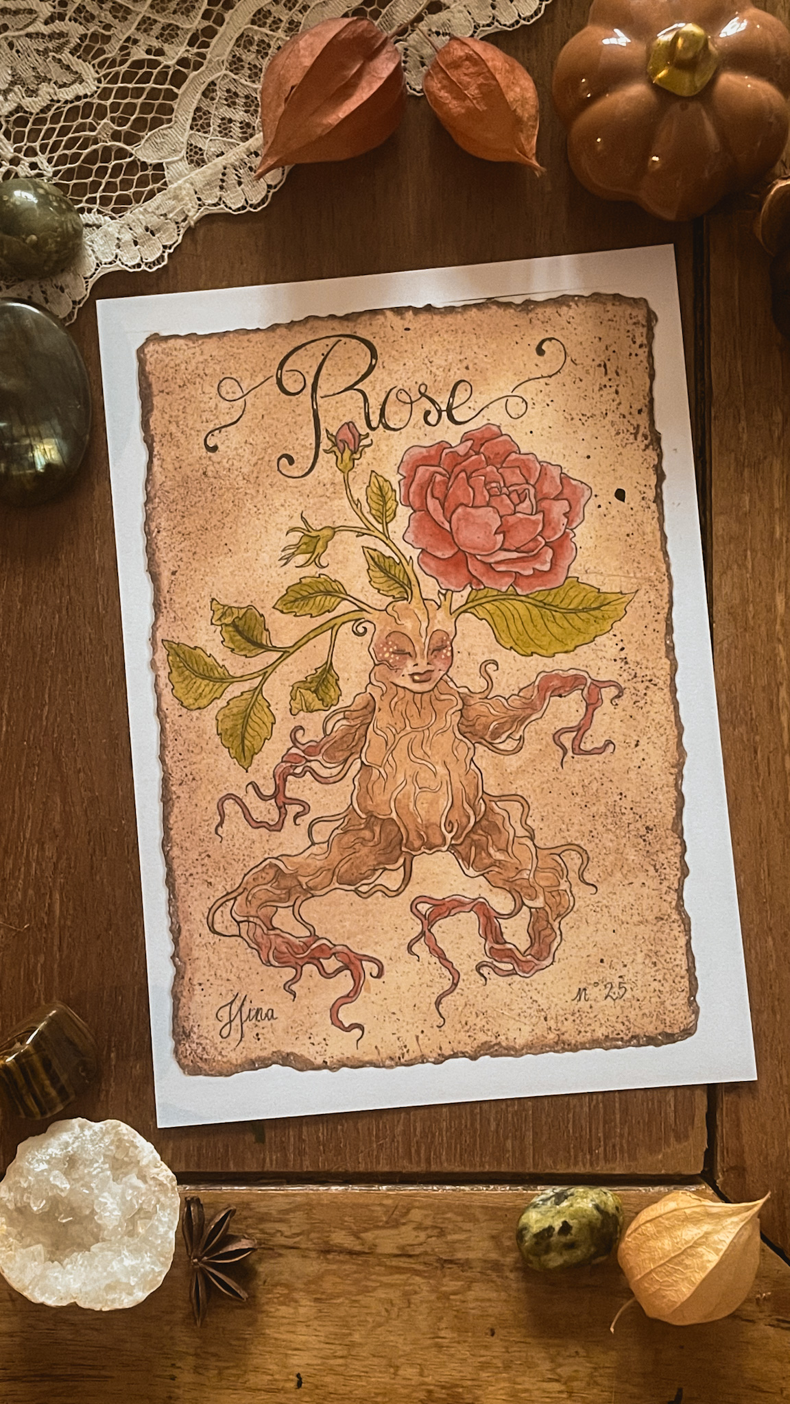 Rose n°25 Print