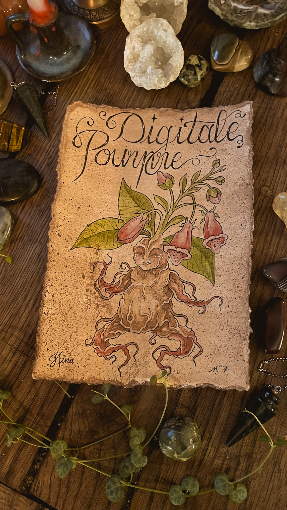 Digitale Pourpre n°7