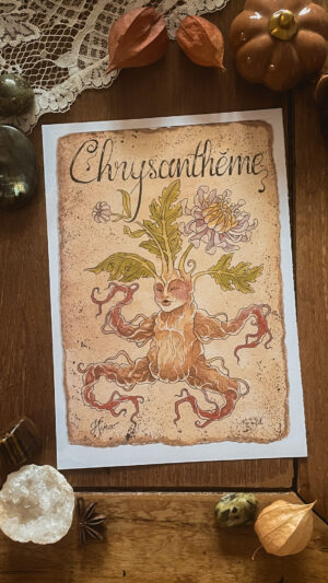 Chrysanthème n°31 Print