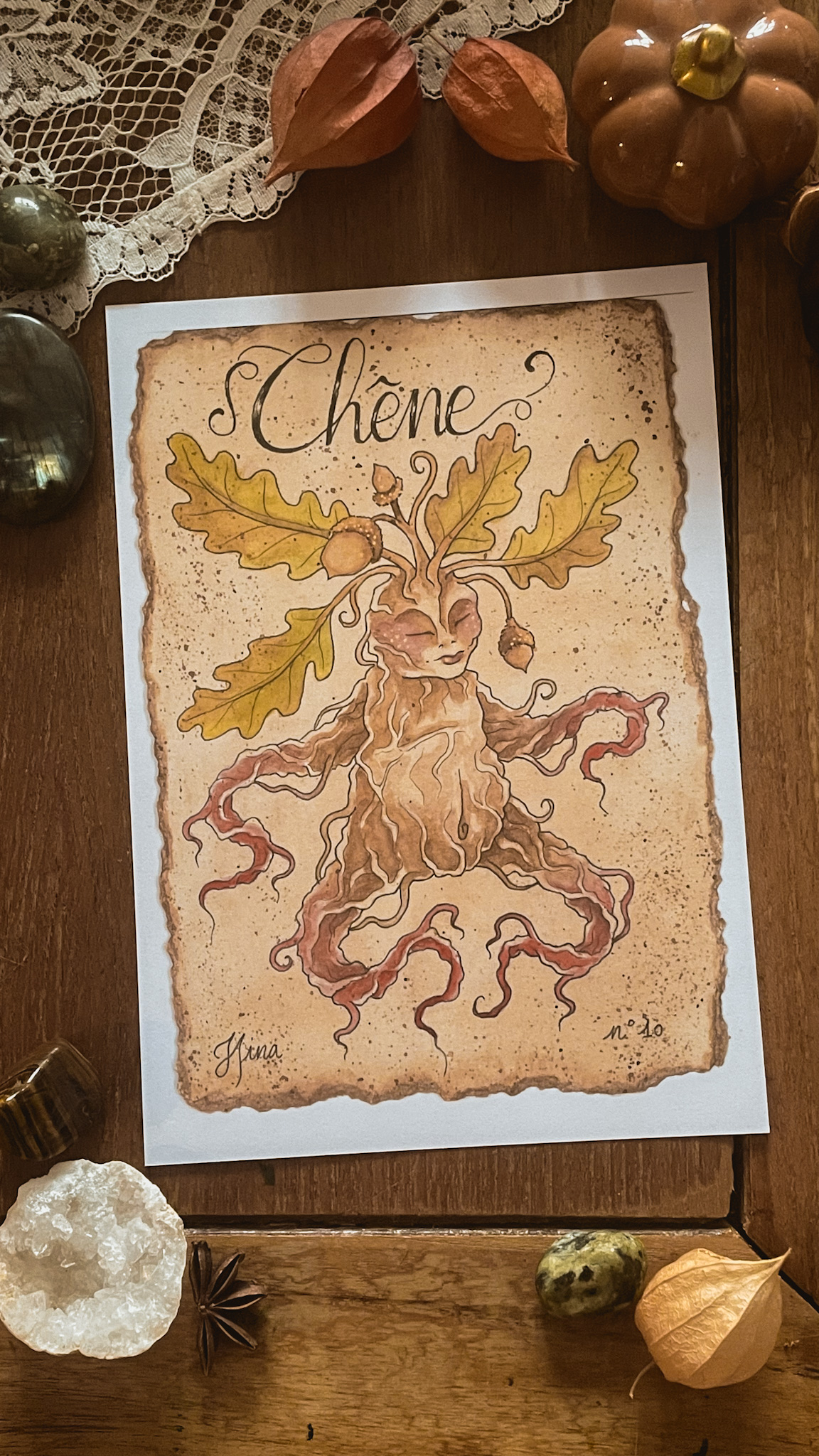 Chêne n°10 Print