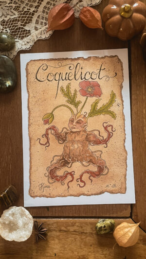 Coquelicot n°18 Print