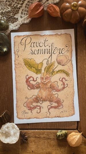 Pavot Somnifère n°24 Print