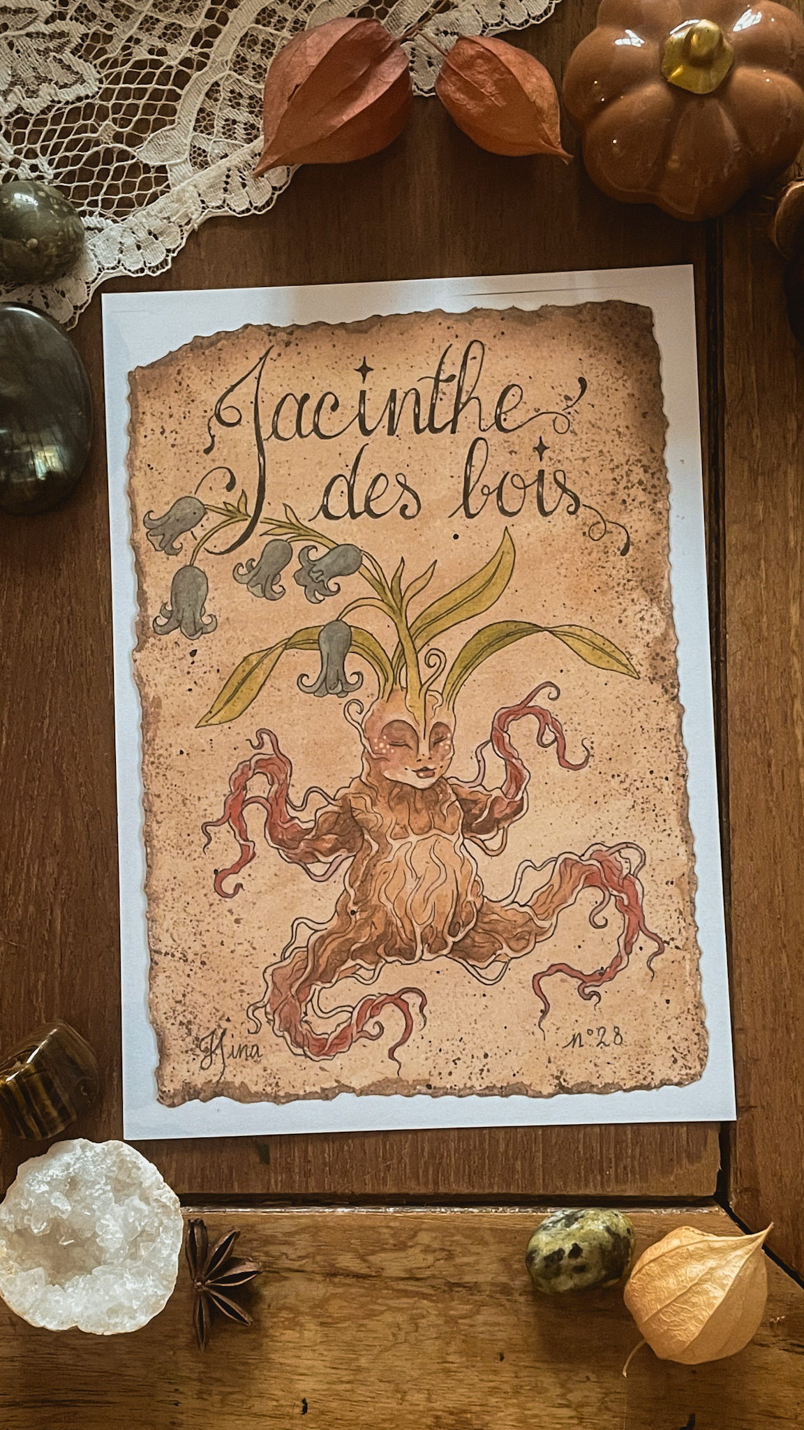 Jacinthe des bois n°28 Print