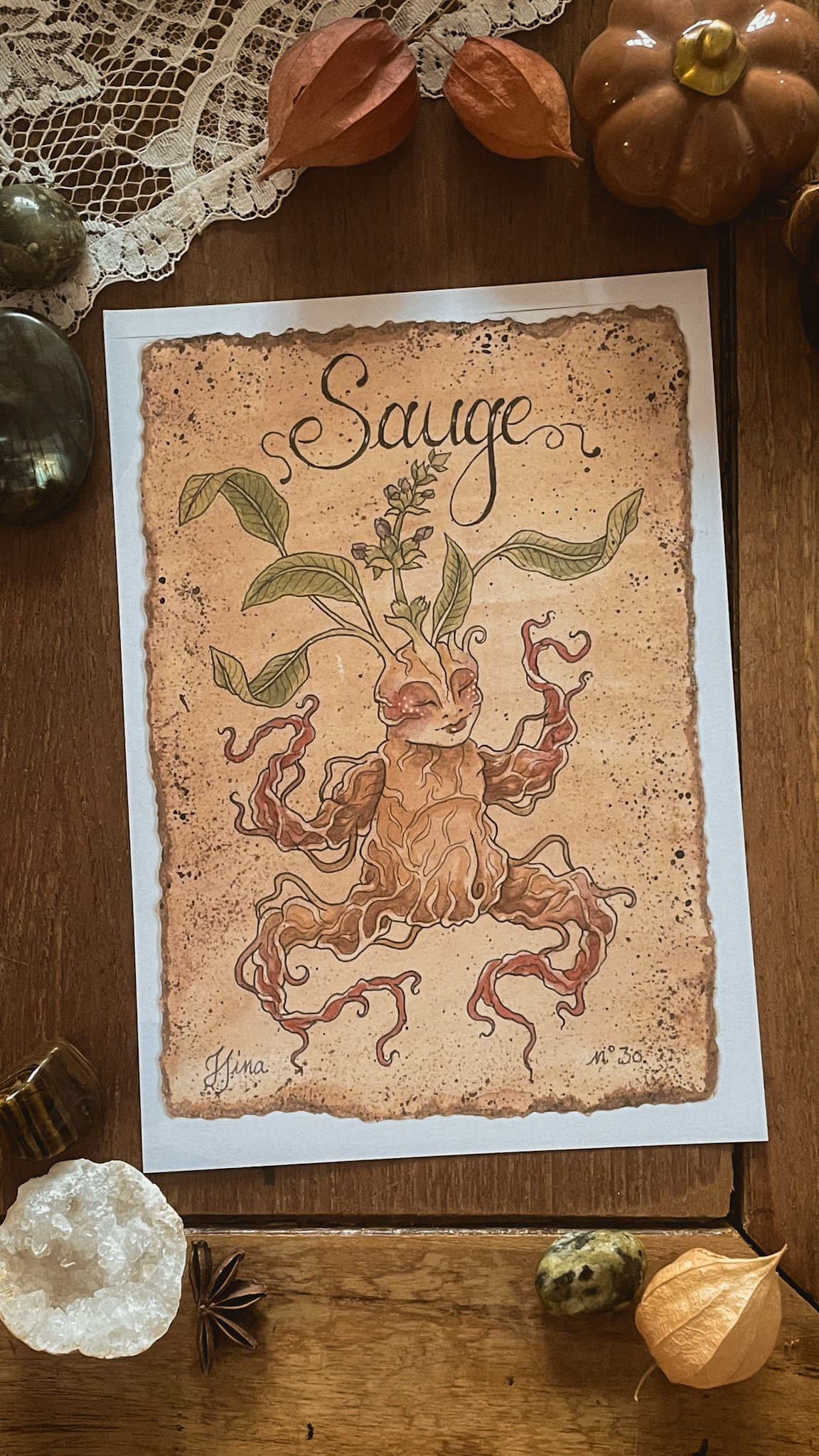 Sauge n°30 Print