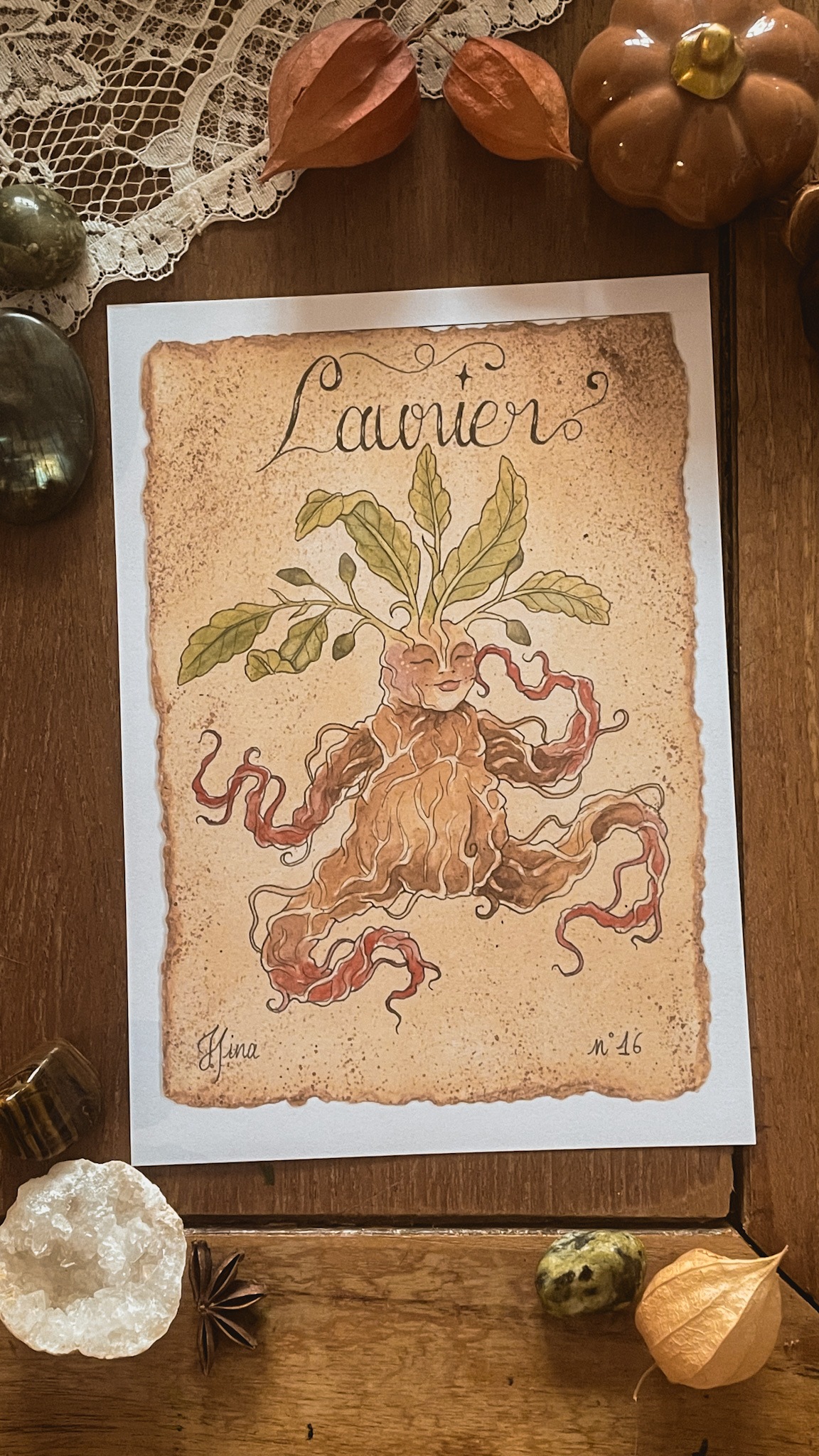 Laurier n°16 Print