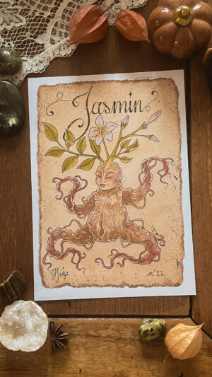 Jasmin n°22 Print