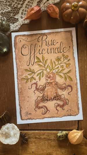 Rue Officinale n°5 Print