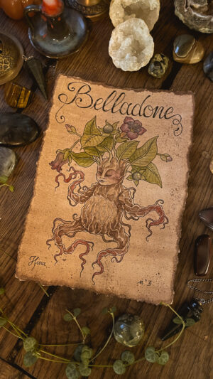 Belladonne n°3