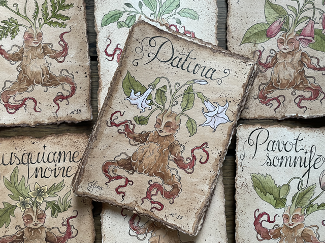 Sujet : Datura Original unique. Peinture à l'aquarelle sur papier 300gr, extraite de la série Mandraktober 2025 d'Hina Art.