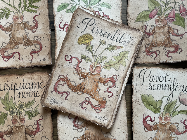 Sujet : Pissenlit Original unique. Peinture à l'aquarelle sur papier 300gr, extraite de la série Mandraktober 2025 d'Hina Art.