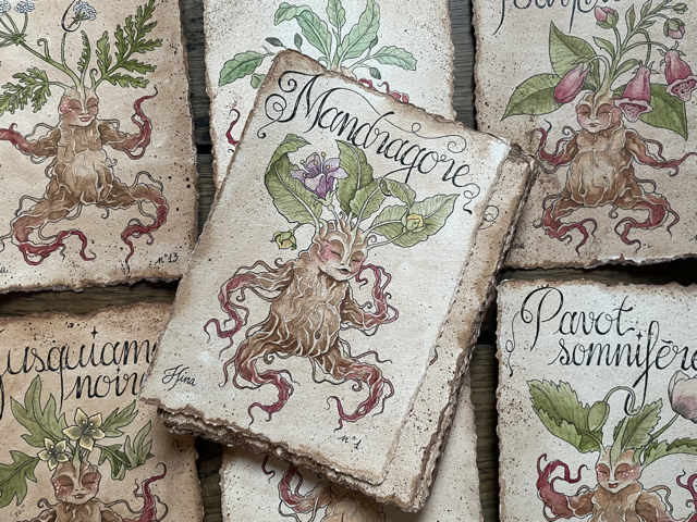 Sujet : Mandragore Original unique. Peinture à l'aquarelle sur papier 300gr, extraite de la série Mandraktober 2025 d'Hina Art.