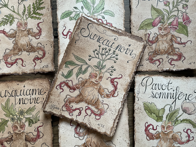 Sujet : Sureau Noir Original unique. Peinture à l'aquarelle sur papier 300gr, extraite de la série Mandraktober 2025 d'Hina Art.