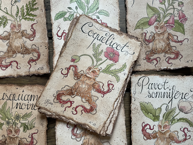 Sujet : Coquelicot Original unique. Peinture à l'aquarelle sur papier 300gr, extraite de la série Mandraktober 2025 d'Hina Art.