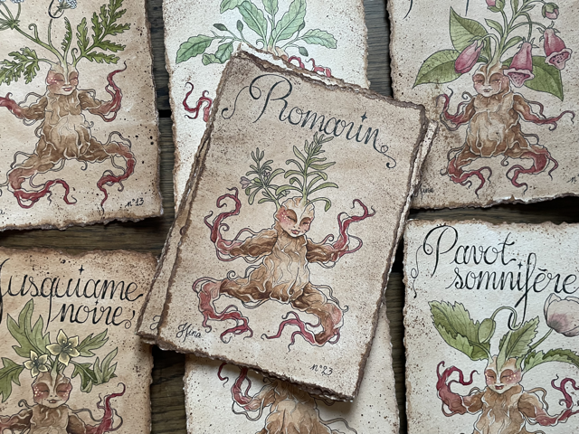 Sujet : Romarin Original unique. Peinture à l'aquarelle sur papier 300gr, extraite de la série Mandraktober 2025 d'Hina Art.