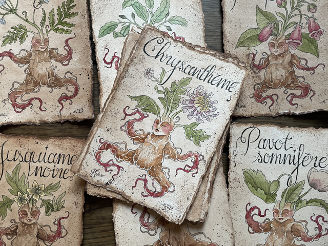 Sujet : Chrysanthème Original unique. Peinture à l'aquarelle sur papier 300gr, extraite de la série Mandraktober 2025 d'Hina Art.