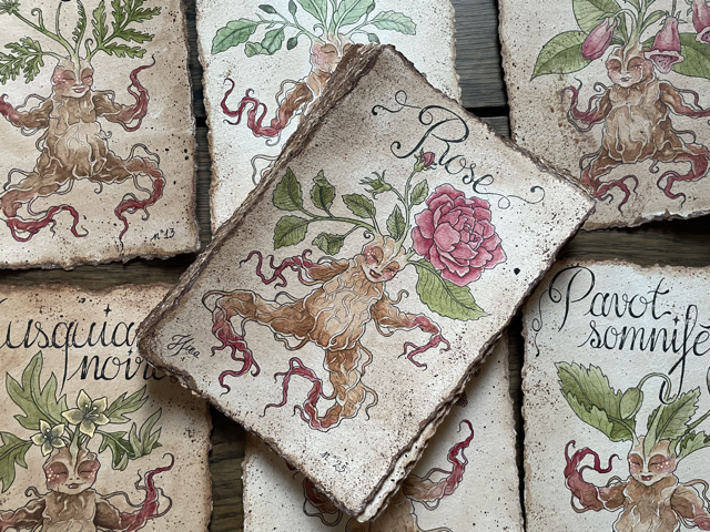 Sujet : Rose Original unique. Peinture à l'aquarelle sur papier 300gr, extraite de la série Mandraktober 2025 d'Hina Art.