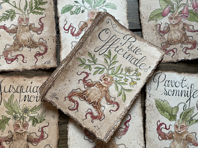 Sujet : Rue officinale Original unique. Peinture à l'aquarelle sur papier 300gr, extraite de la série Mandraktober 2025 d'Hina Art.