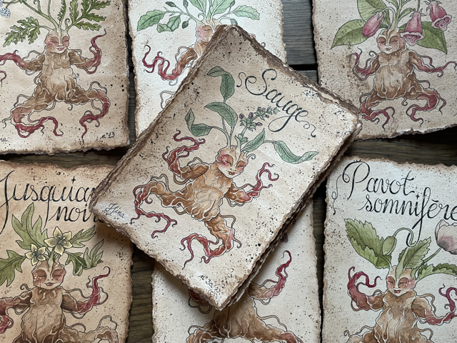 Sujet : Sauge Original unique. Peinture à l'aquarelle sur papier 300gr, extraite de la série Mandraktober 2025 d'Hina Art.