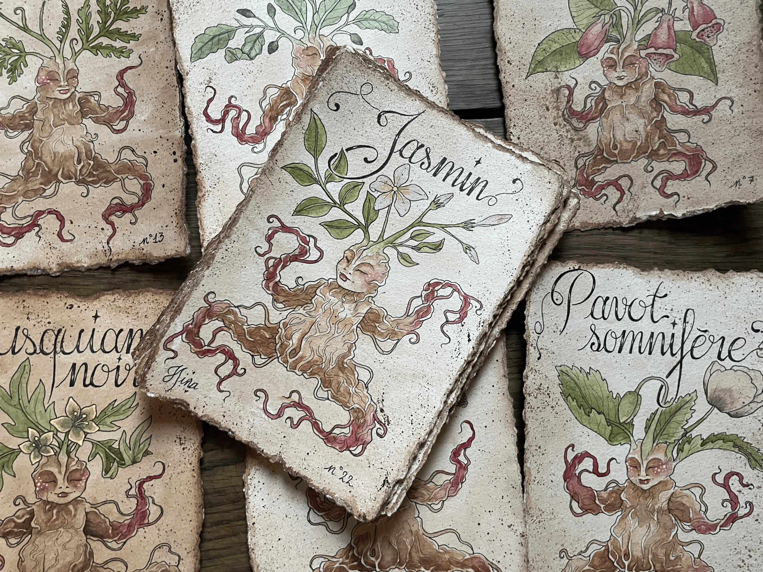 Jasmin n°22 – Image 3