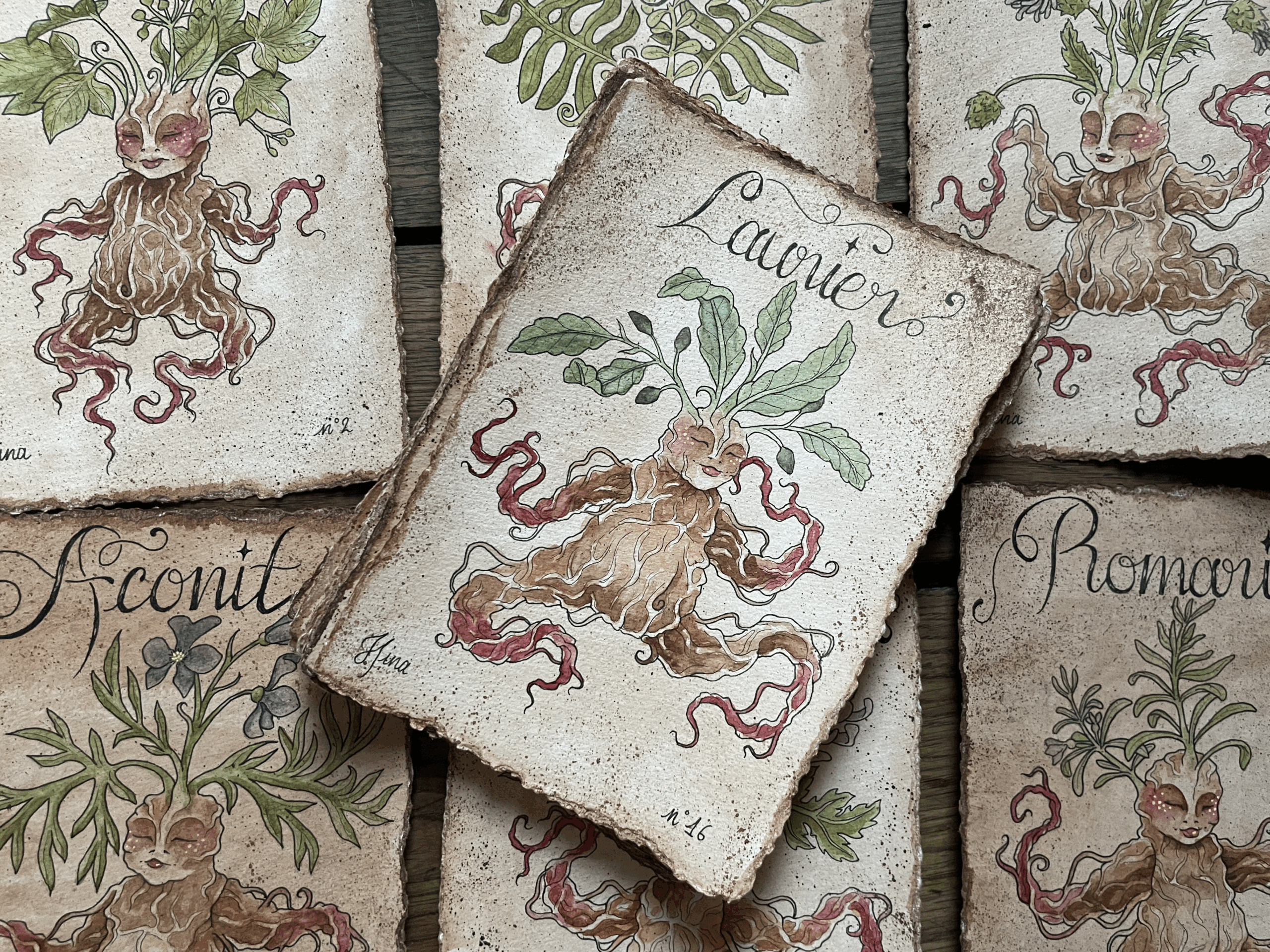 Laurier n°16 – Image 3