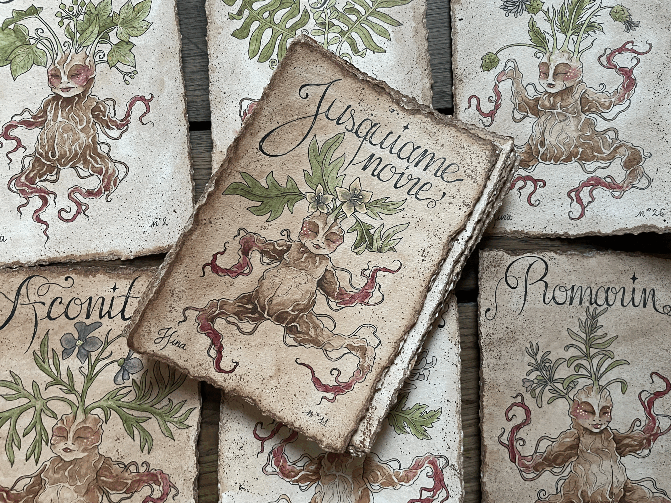 Jusquiame Noire n°11 – Image 3