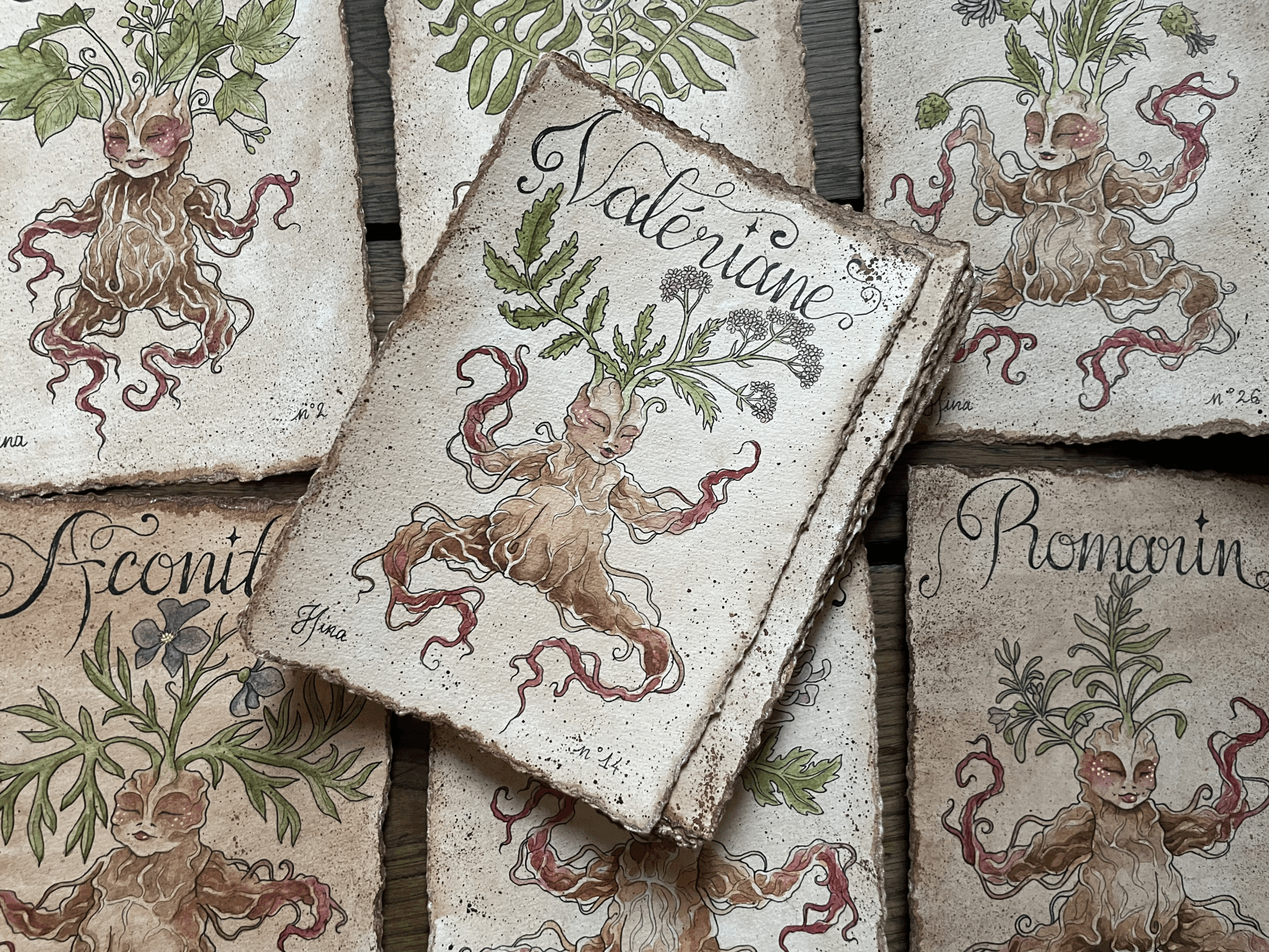 Valériane n°14 – Image 2