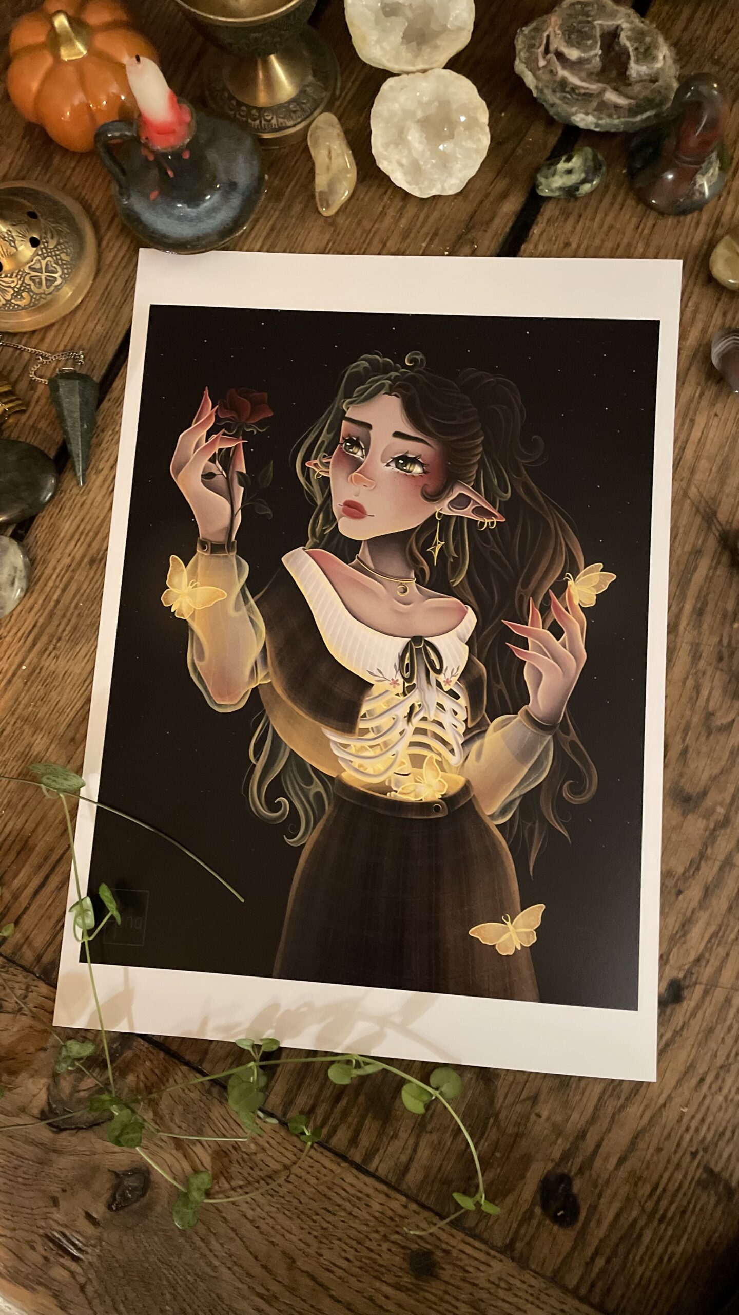 Papillons dans le ventre